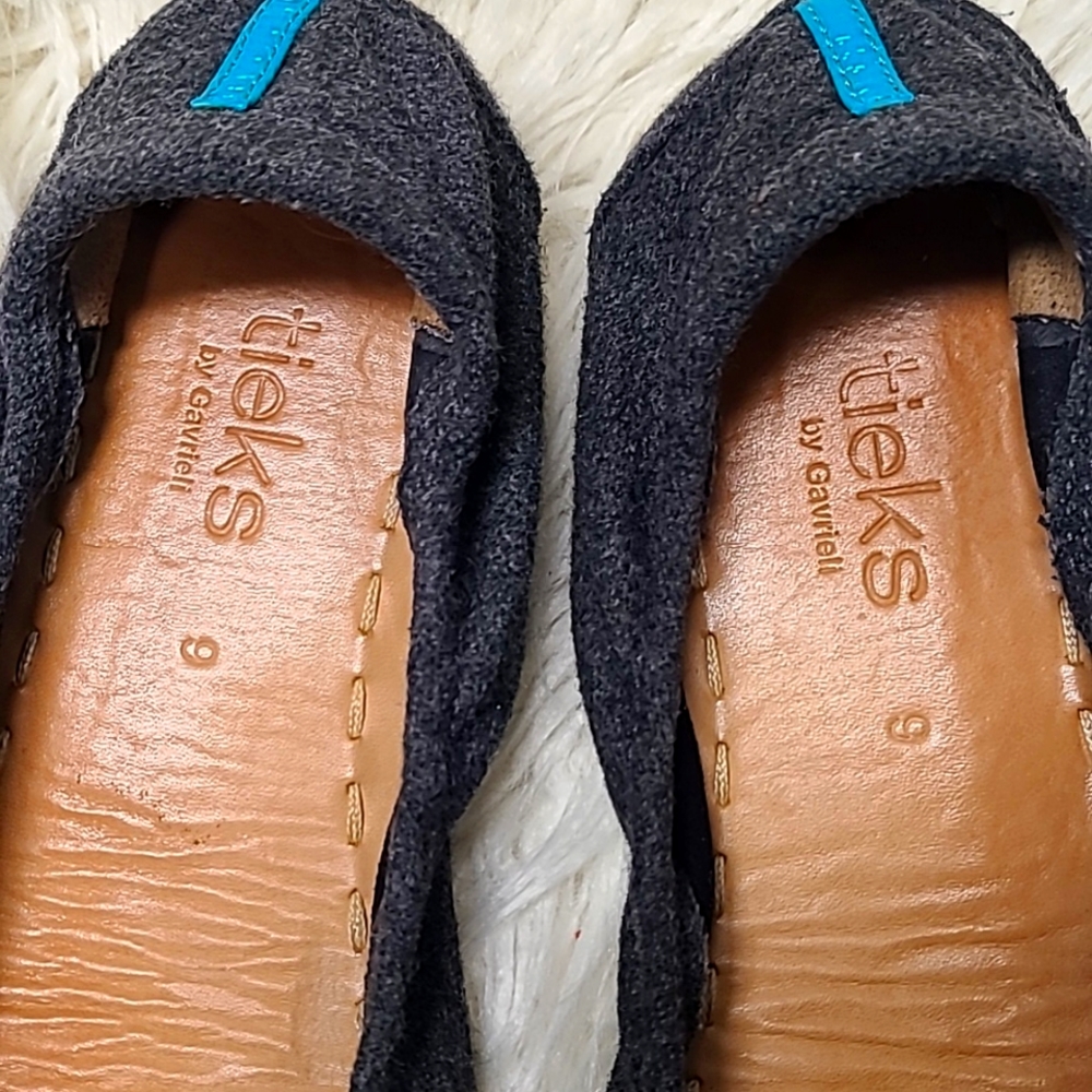 Tieks ballerina shoes